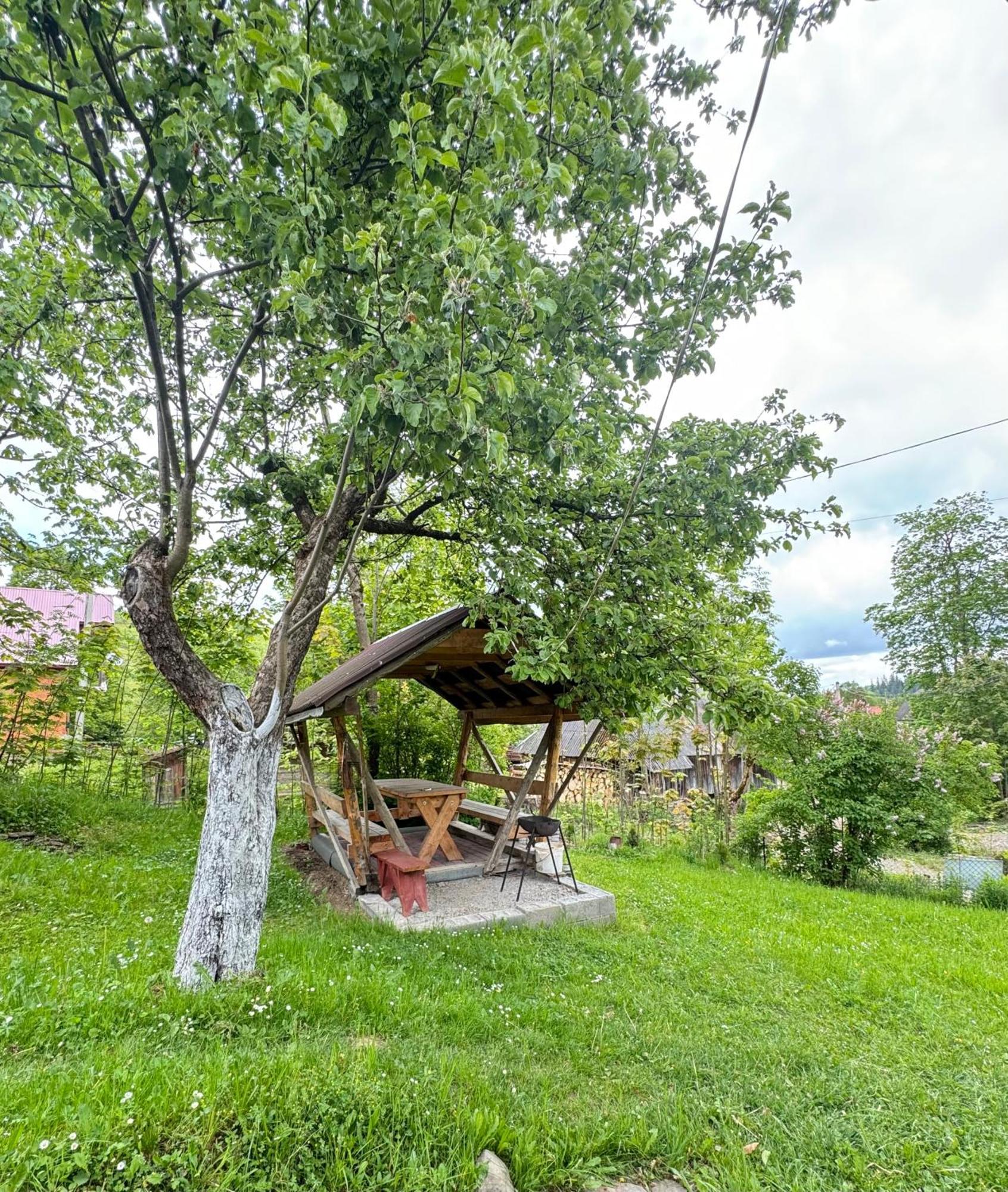 Dacha Podobovets 127 Hotel Екстериор снимка