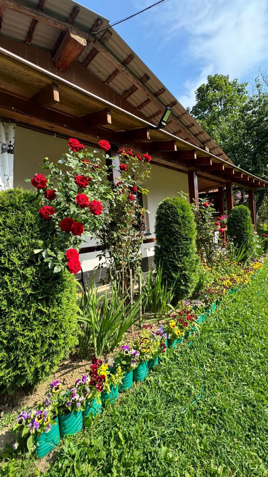 Dacha Podobovets 127 Hotel Екстериор снимка