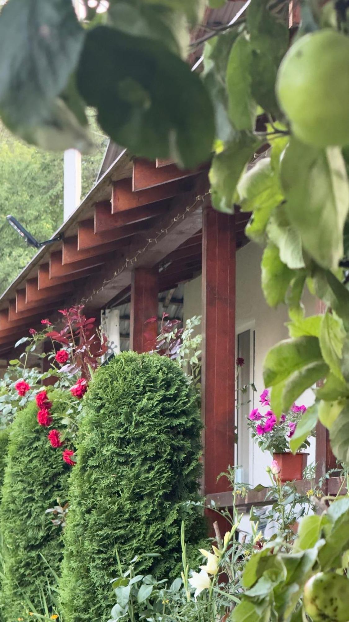 Dacha Podobovets 127 Hotel Екстериор снимка